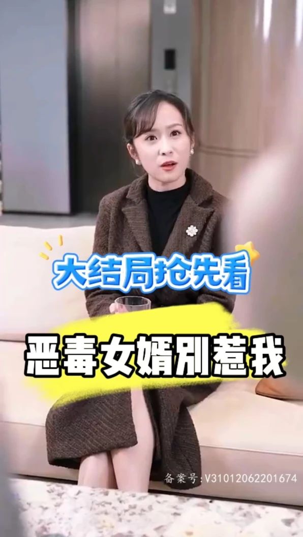 恶毒女婿别惹我海报