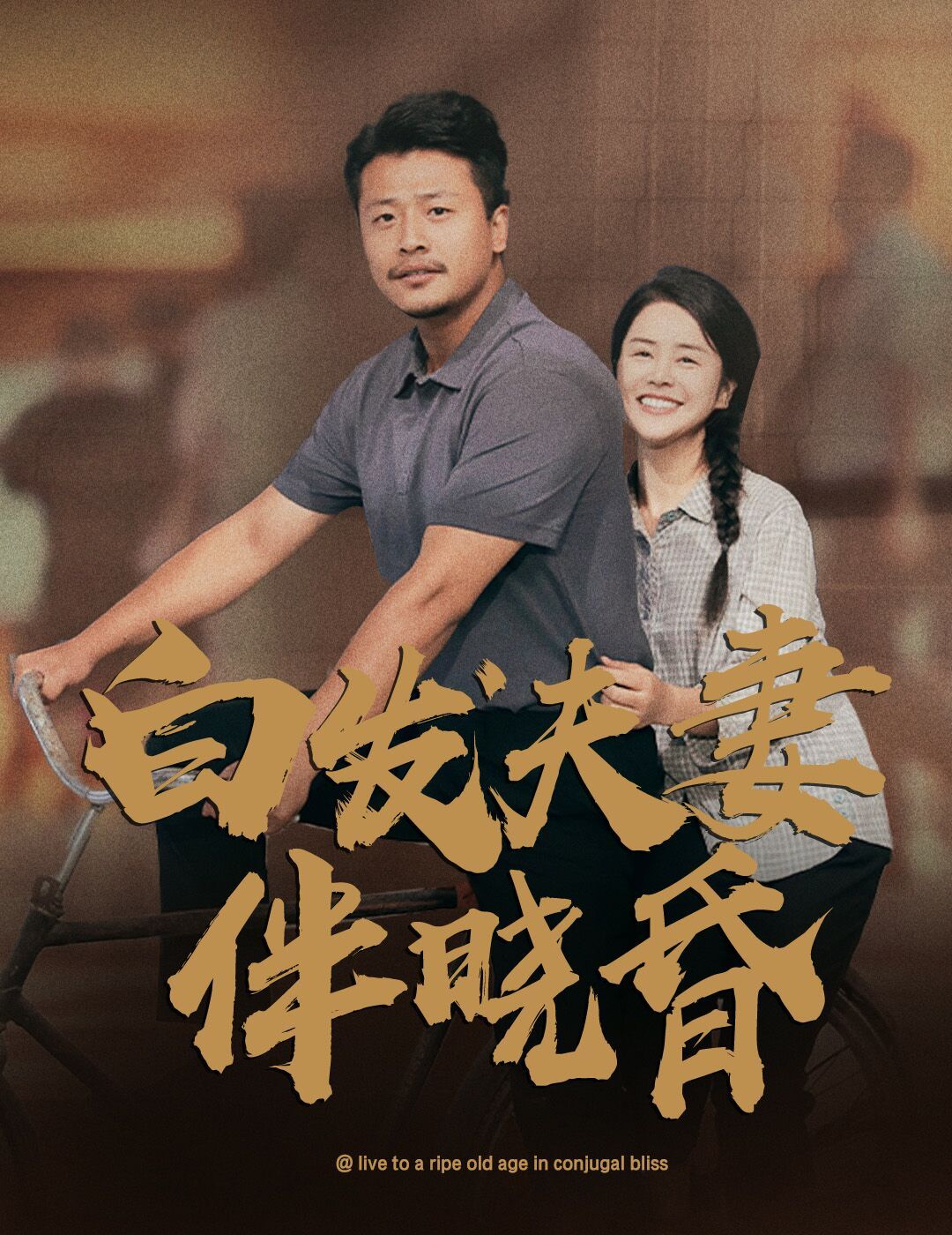 白发夫妻傍晓昏海报