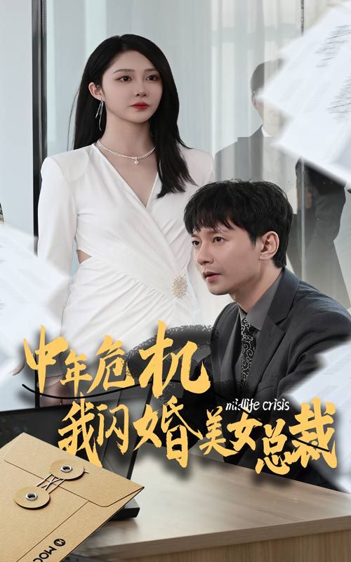 中年危机我闪婚美女总裁海报