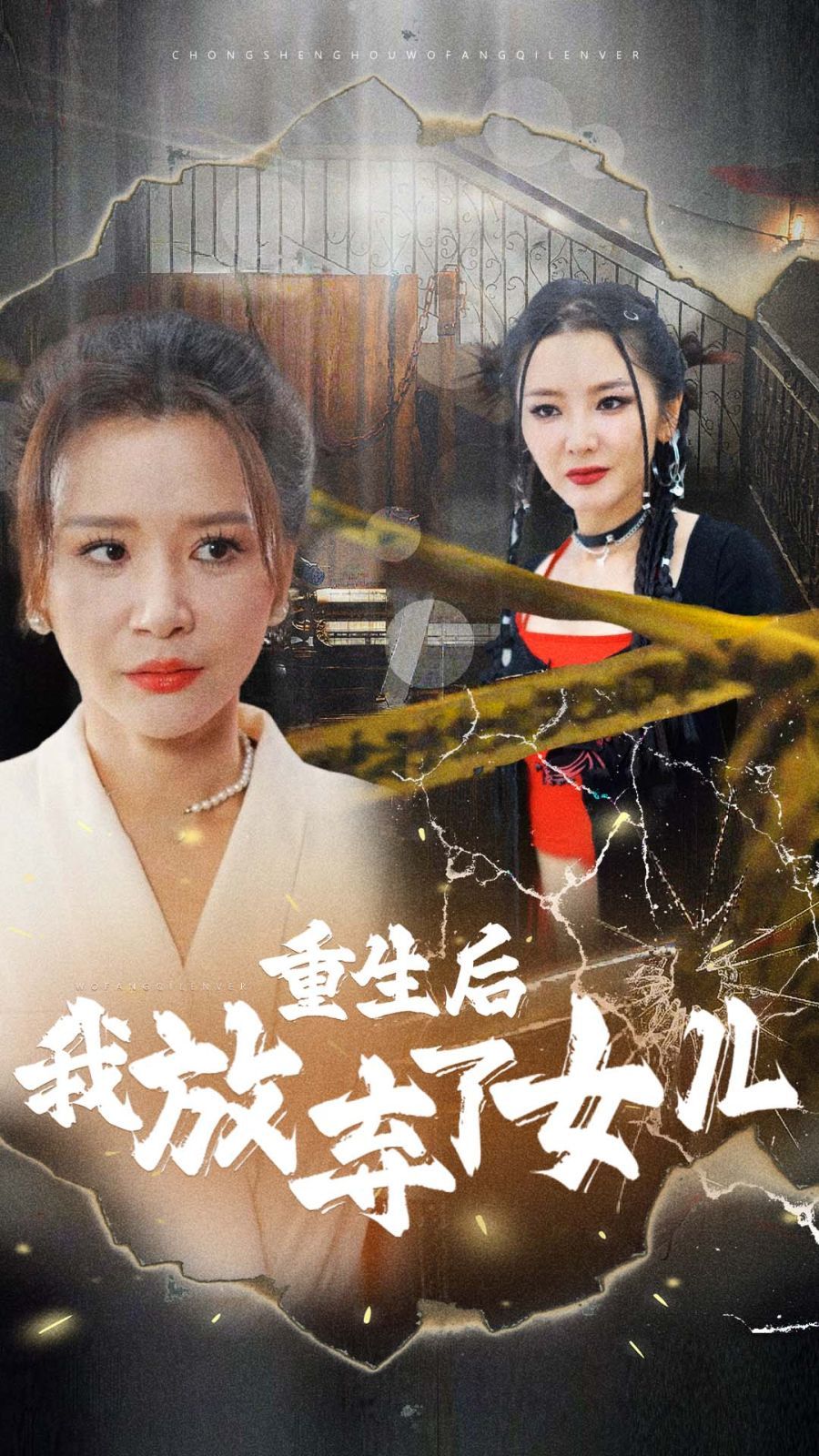 重生后我放弃了女儿海报