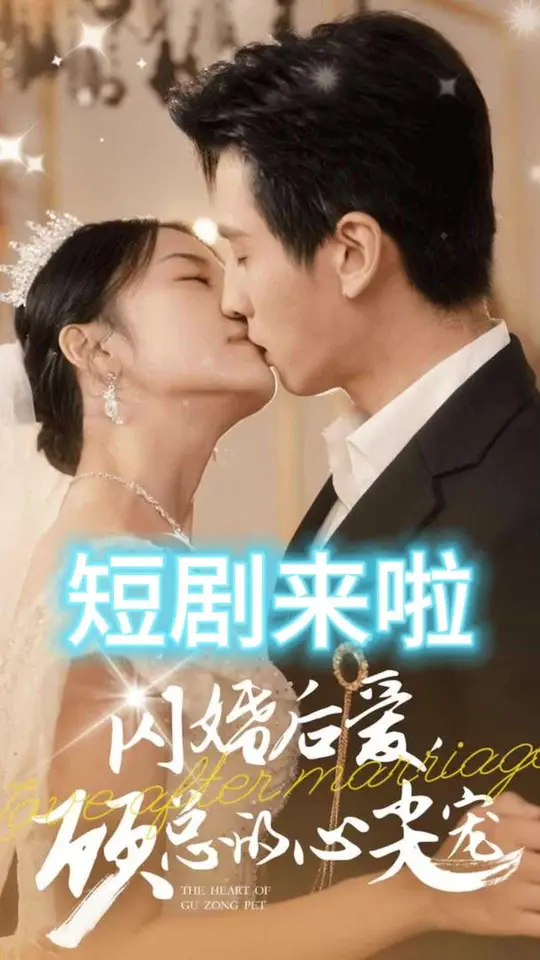 闪婚后爱顾总的心尖宠海报