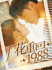 厂花重回1988海报